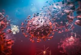 On 14 june 2021, the world health organization (who) named it lambda variant and designated it as a variant of interest. Variante Lambda Esto Es Lo Que Sabemos Tec Review