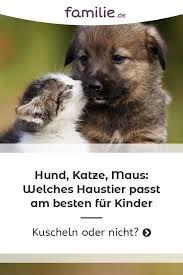 Haustiere Fur Kinder Was Passt Familie De In 2020 Animals Family Life Mom Quotes