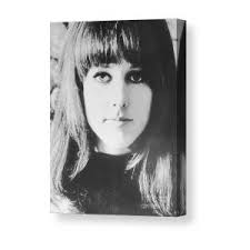 The Traveling Wilburys with Guitars Canvas Print by Diane Hocker