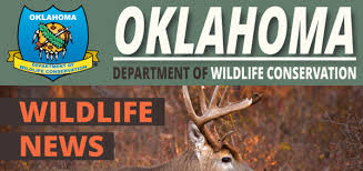 We did not find results for: News Free Wildlife Expo Keep Folks Coming Back Every Year