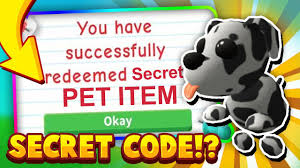 Double pet aging & bucks until end of monday! Secret Adopt Me Code How To Get Free Pet Item In Roblox Working 2020 Adopt Me Free Fly Potions Youtube