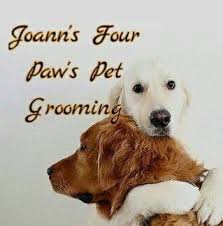 Maybe you would like to learn more about one of these? All Pets Animal Hospital Llc Home Facebook