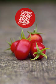 Top Five Tomatenliste Bewahrte Sorten In Meinem Garten Tomaten Tomaten Gesund Tomaten Anbauen