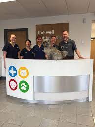 I came in with a cat that needed its shots. Well Pet Hospital Wellpethospital Twitter
