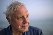 Sir David Attenborough recalls the moment he nearly died
