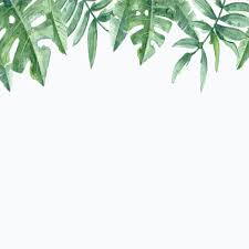 Download frame undangan pernikahan vector. 15 Bingkai Undangan Pernikahan Klasik Terbaik Terbaru