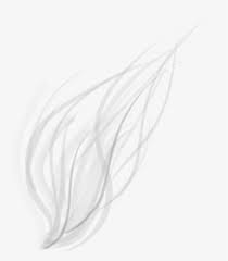White Line Png Images Transparent White Line Image Download Pngitem Discover 2784 free white line png images with transparent backgrounds. white line png images transparent