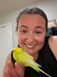 My little Robbie always in my garden ❤️