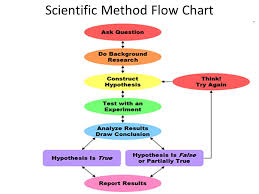 What Every Scientist Should Know The Scientific Method