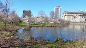 We did not find results for: Chicago Cherry Blossoms At Museum Of Science Industry Youtube