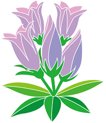 秋の花1 04 リンドウイラスト 花 イラスト イラスト リンドウ 花