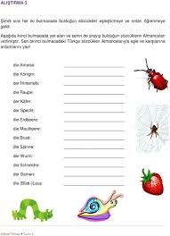 Karincalar Karincalarin Vucutlari Diger Boceklerde Oldugu Gibi Uc Kisimdan Olusur 1 Bas 2 Gogus 3 Karin Kuyruk Kismi Bas Kopf Pdf Free Download