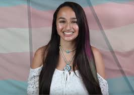 She has released several books and has appeared on television on her own reality show i. Pride Month Spotlight Jazz Jennings Nerds And Beyond
