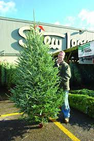 Stew Leonards Christmas Trees 2021 The Top 21 Ideas About Stew Leonard S Christmas Trees Best Diet And Healthy Recipes Ever Recipes Collection