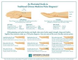 Pulse Power Understanding Chinese Pulse Diagnosis Chinese Medicine Acupuncture Traditional Chinese Medicine Acupuncture