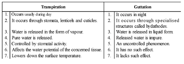 Transpiration In Plants: Types, Mechanism, Factors, Uses