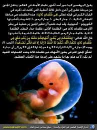 يستخدم علاج لوسيدريل 500 في : Ø´Ø±ÙƒÙ‡ Ø§Ù„Ù‚Ø¯Ø³ Ù„ØªØ¬Ø§Ø±Ù‡ ÙˆØªÙˆØ²ÙŠØ¹ Ø§Ù„Ø§Ø¯ÙˆÙŠÙ‡ Beitrage Facebook