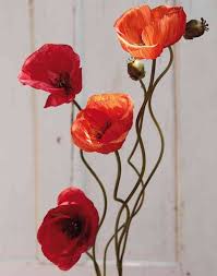 At spotlight, we have a wide variety of colourful and lifelike artificial flowers and plants to choose from, from succulents to hydrangeas, peonies to lavender, and just about everything in between. Artificial Poppy Flower Bathilda Red 75cm Artificial Flowers Poppies Poppy Flower