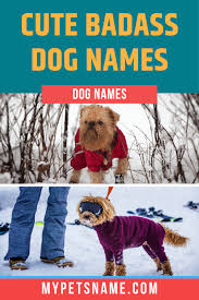 Cute Badass Dog Names Dog Names Harry Potter Dog Names Warrior Names