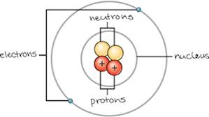 Draw a bohr model of the following atoms and answer the questions about each one. Snc1p