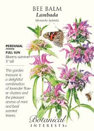 Pin On Herbs