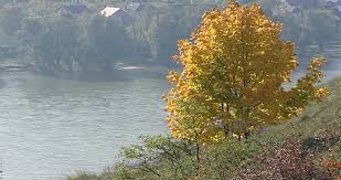 Taucher fanden ihn eine stunde später in drei meter tiefe. Paradies Wachau Vom 13 06 2004 Orf Tvthek