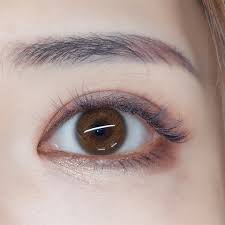 Natural Colored Contact Lenses I Dol Honey Brown Yamicolor Brown Contact Lenses Contact Lenses For Brown Eyes Contact Lenses