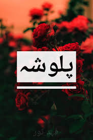 There are few aspects of marijuana plants that are more important than the seeds. Palwasha Name Art Red Rose Pakistan Urdu Poppy Hd Mobile Wallpaper Peakpx