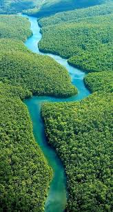 Rio Orinoco Longest River In South America At 2 140 Kilometres 76 3 Percent Of It Invenezuela And The Remaind Beautiful Places Nature South America Travel