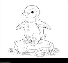 Galapagos Penguin - Free Printable Coloring Page
