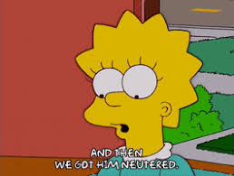 images?q=tbn:ANd9GcSufwvLpAz28iwydurZeOahB-tt0OauulknNQ&usqp=CAU