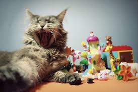 Breeze Gets In The Way Again Batman Cats Joker