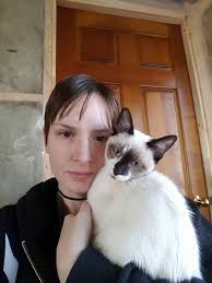 Are Snowshoe cats hypoallergenic and do they have similar temperaments to  Siamese cats?