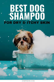 Best Dog Shampoo For Dry Itchy Skin In 2020 Best Dog Shampoo Dog Shampoo Best Dogs