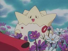 Togepi Pokemon Photo Pokemon Anime