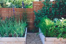 Vegetable gardening at home can be a way to save money while you get up close and personal with nature. How To Start An Urban Vegetable Garden Seattle Met