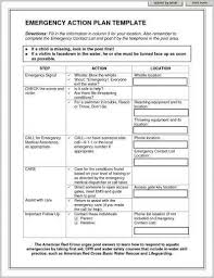 11 Printable Emergency Action Plan Examples Pdf Docs