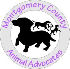 Best friend pet adoption raleigh nc. Best Friend Pet Adoption Home Facebook