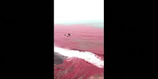 Blood rain' turns beach red on Iran's Hormoz island | Myanmar International  TV