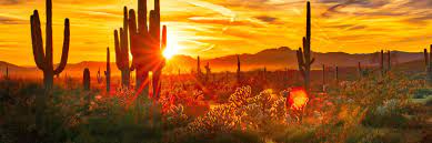 These zone descriptions will guide you in choosing the right plants for your it also shows up in western montana and nevada and in mountain areas of the southwest. Best Places To Watch A Sunset In Phoenix Parks Gardens