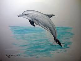 Drawn Dolphin Pencil Sketch 7 Dolphin Drawing Dolphin Art Dolphin Painting