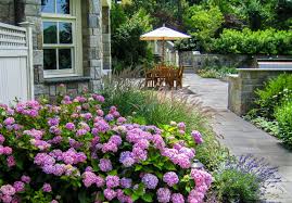 Image result for Hydrangea and roses garden pictures