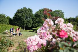 Consultez 5 532 avis de voyageurs, 359 photos, les meilleures offres et comparez les prix pour 142 hotels à. Jardins De Broceliande Bretagne Com