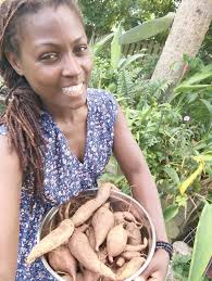 jardindivinity (my garden) #prayerarea #dirttherapy #conversationswithGod  Sweet Potatoes (Batata), Huckleberries (Arándano), and Kalanchoe buds. I  finally made french fries 🔥. #gardentobelly