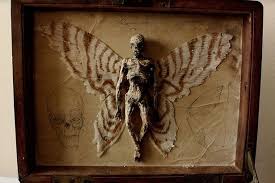 Mystery Of Winged Tiny Human Skeletons Found In Basement Of Old London House In 2020 Weird Creatures Creatures Creature Picture