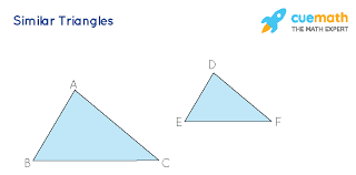 Ask expert tutors you can ask you can ask you can ask (will expire ). Similar Triangle Worksheets Llama Iworksheet Co