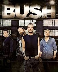 Bush They Are So Rockin In Concert I Thought They Were An Okay Band But After Seeing Them In Concert They V Best Rock Bands Musical Band Alternative Music