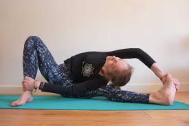 Image result for Christella chaseana