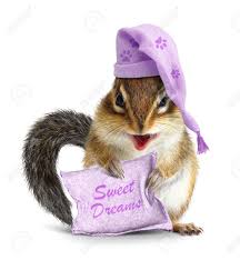 Next gallery jaden smith's twitter wisdom. Sweet Dreams Concept Funny Animal Chipmunk With Pillow And Sleeping Stock Photo Picture And Royalty Free Image Image 73114327