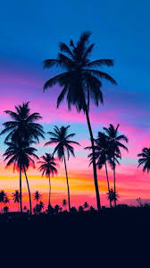 40 New Tumblr Iphone Wallpaper Ideas Pinofy Net Sunset Photography Nature Photography Beautiful Ocean